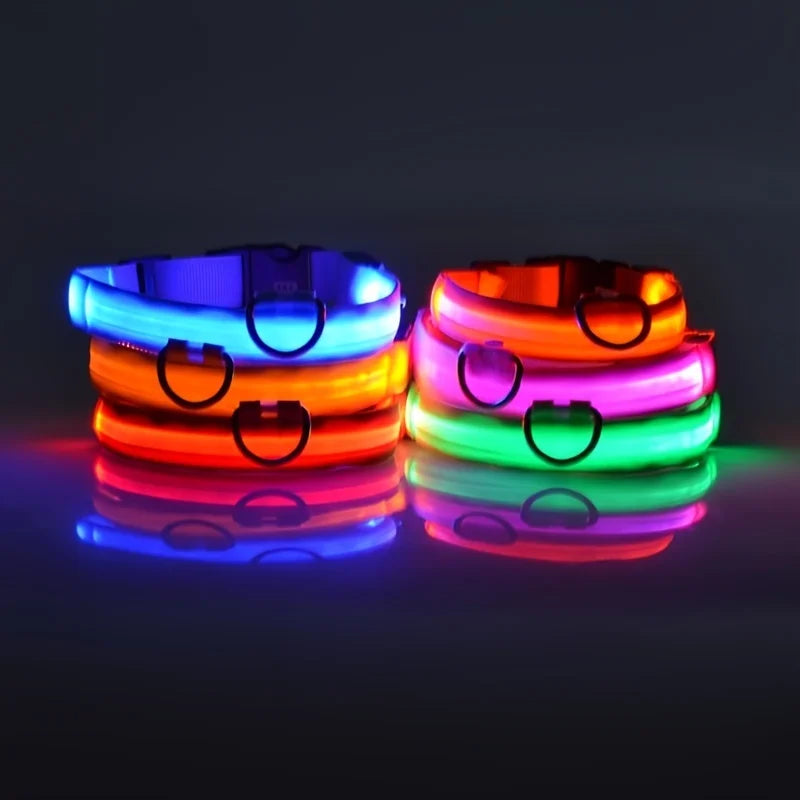 Rafaia GlowWalk Set – LED dog collar and leash (image 3)