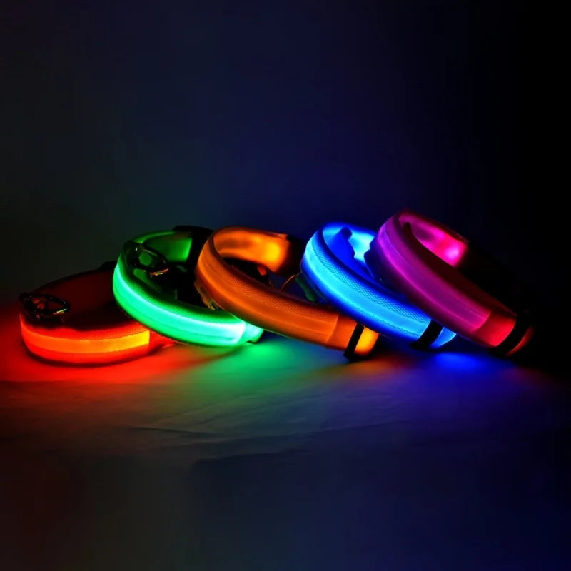 Rafaia GlowWalk Set – LED dog collar and leash (image 6)