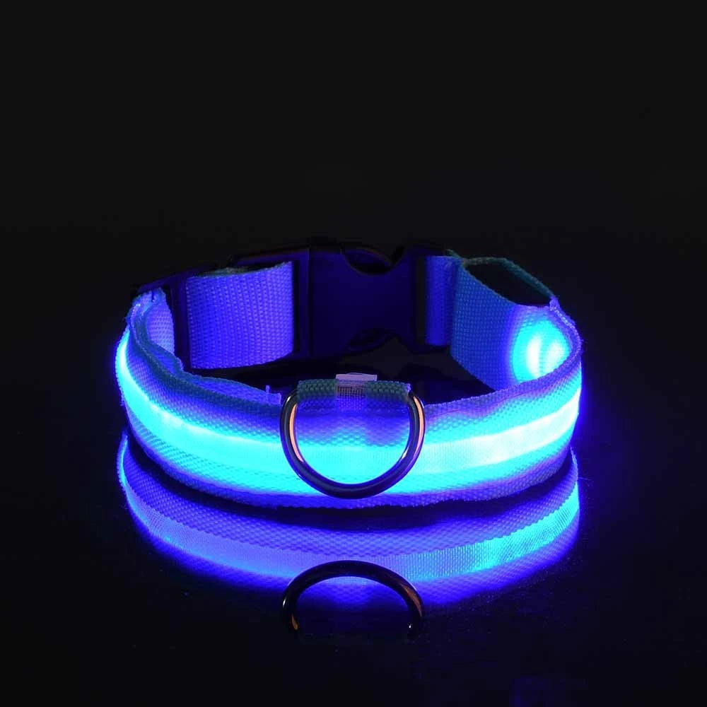 Rafaia GlowWalk Set – LED dog collar and leash (image 8)