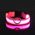 Rafaia GlowWalk Set – LED dog collar and leash (image 7)