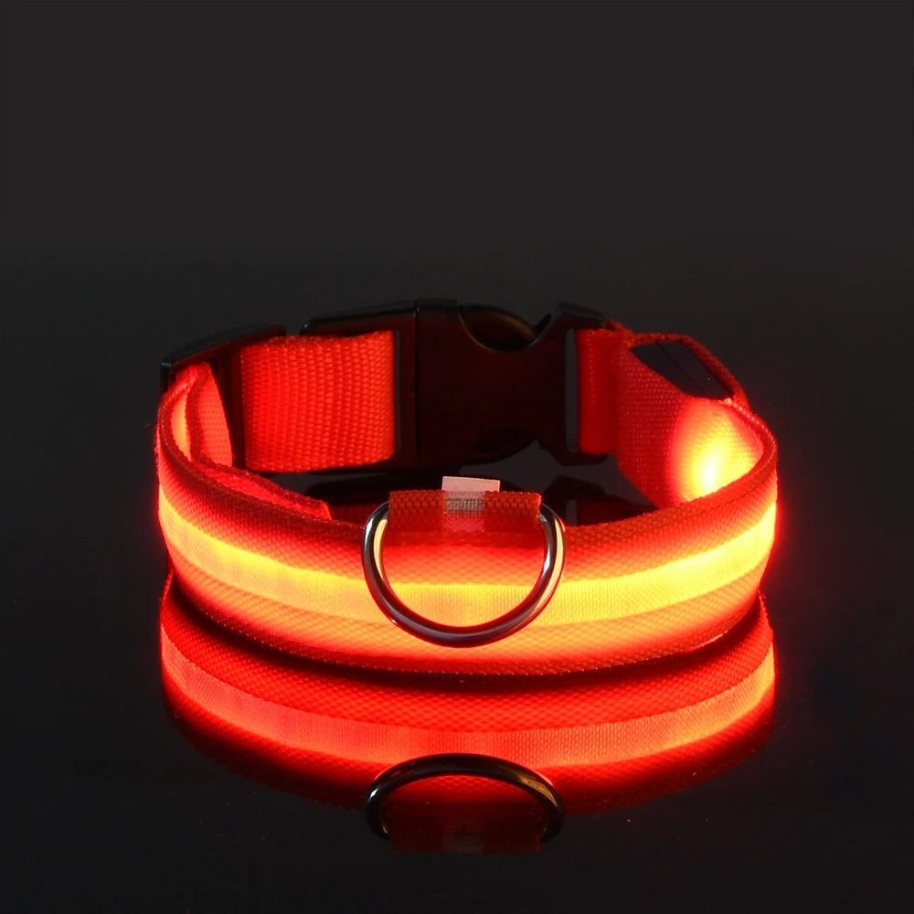 Rafaia GlowWalk Set – LED dog collar and leash (image 9)