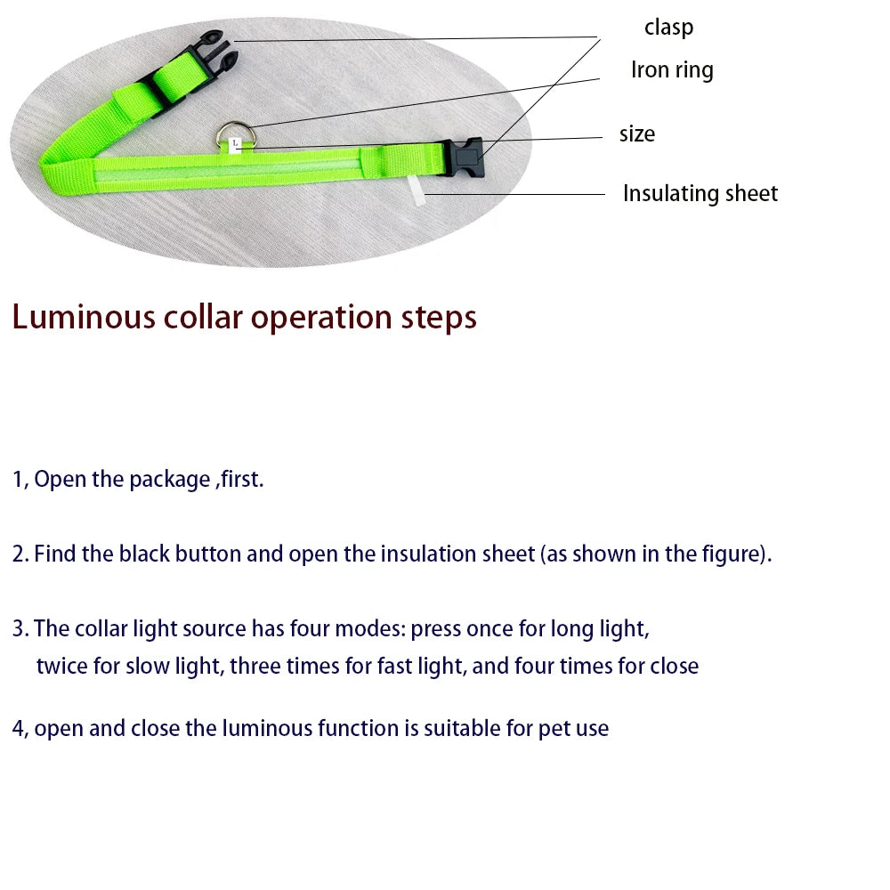 Rafaia GlowWalk Set – LED dog collar and leash (image 5)