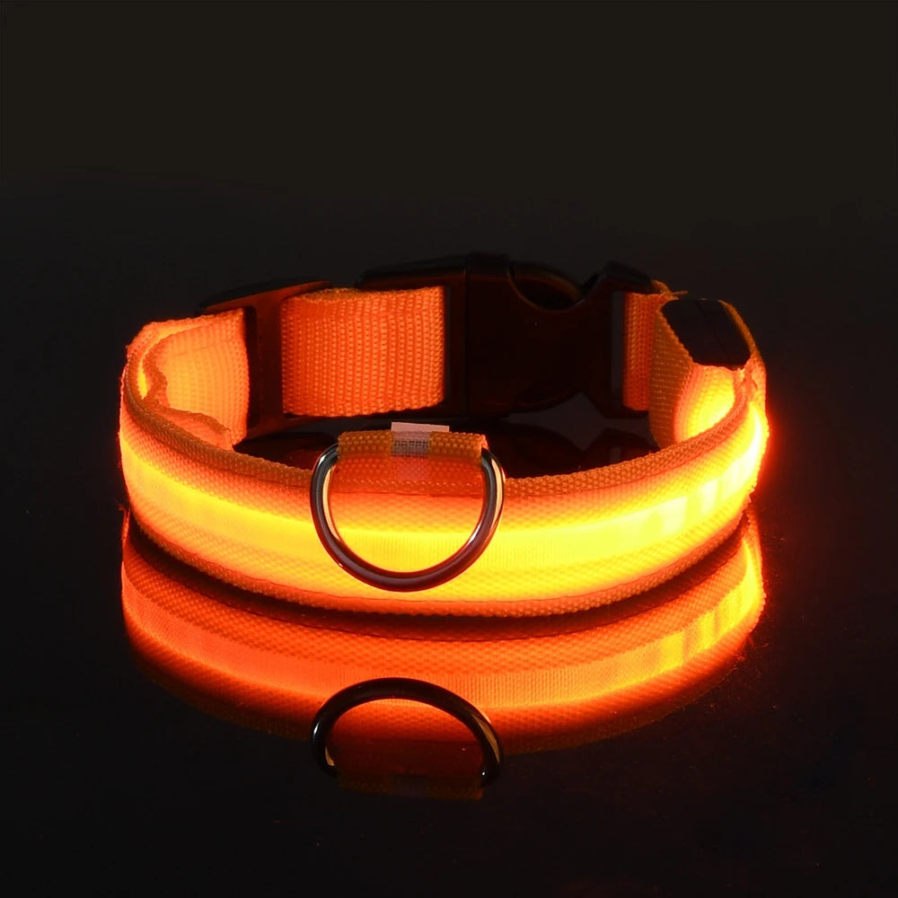 Rafaia GlowWalk Set – LED dog collar and leash (image 10)