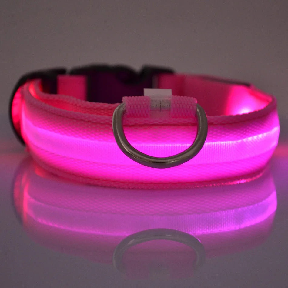 Rafaia GlowWalk Set – LED dog collar and leash (image 4)