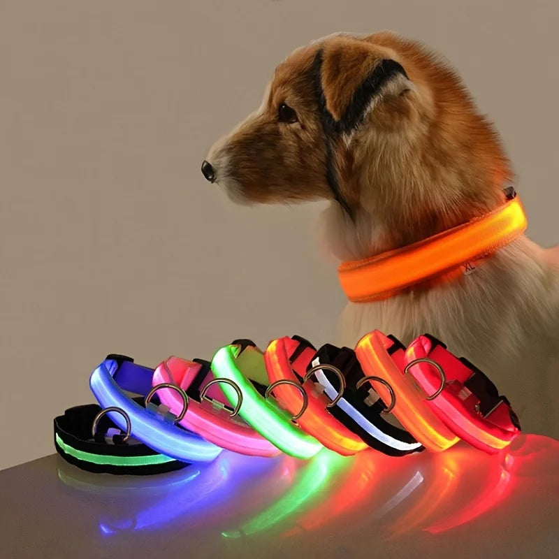 Rafaia GlowWalk Set – LED dog collar and leash (image 1)