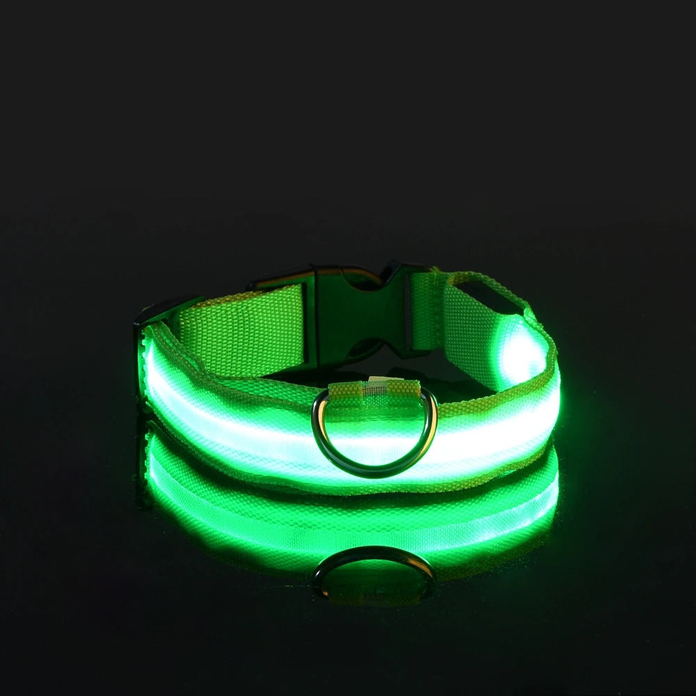 Rafaia GlowWalk Set – LED dog collar and leash (image 12)