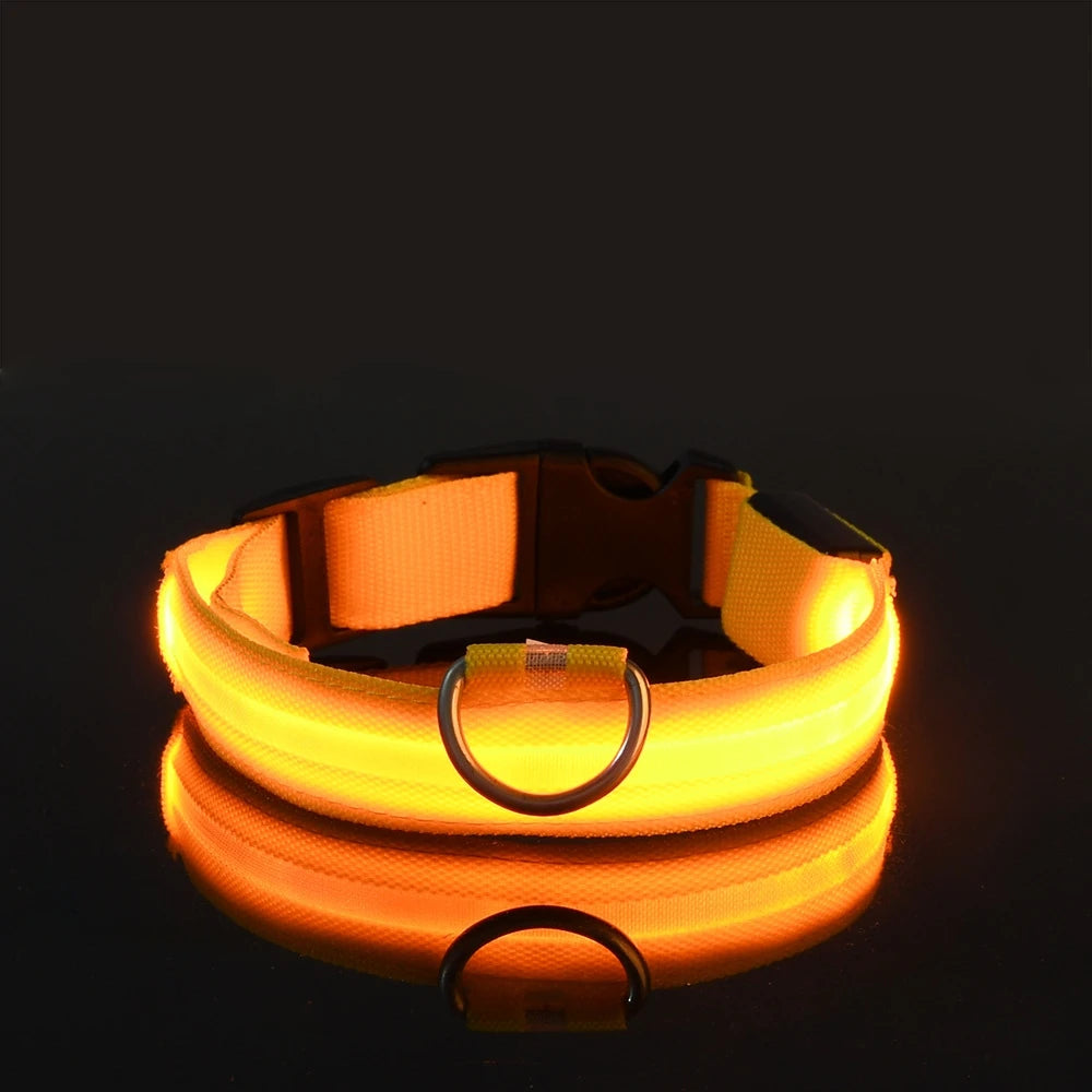 Rafaia GlowWalk Set – LED dog collar and leash (image 11)